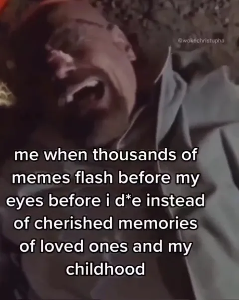 Thousands of Memes Flash Before My Eyes
