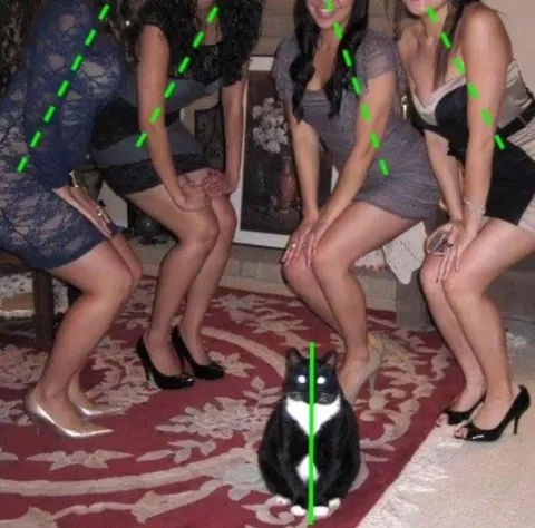 Кот среди девушек