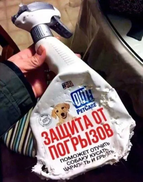Защита от погрызов не сработала