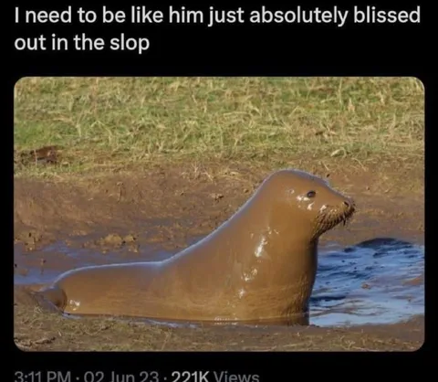 Blissed Out in the Slop