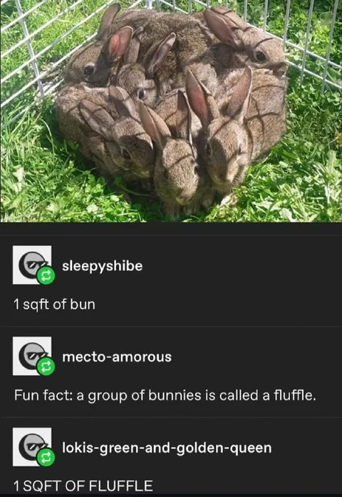 One Square Foot of Fluffle