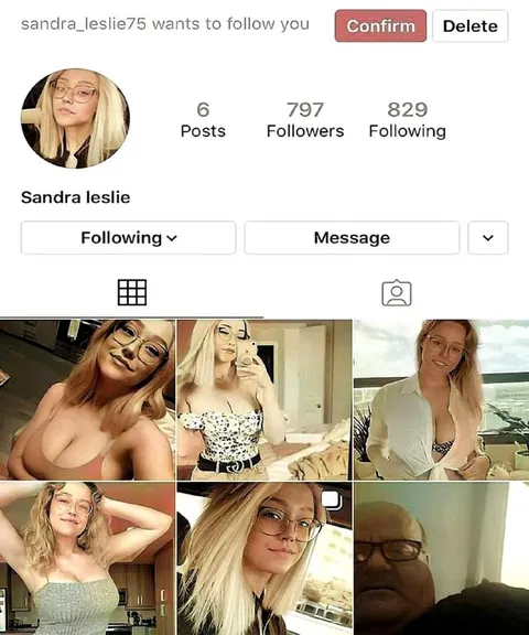 Suspicious Instagram Follow Request