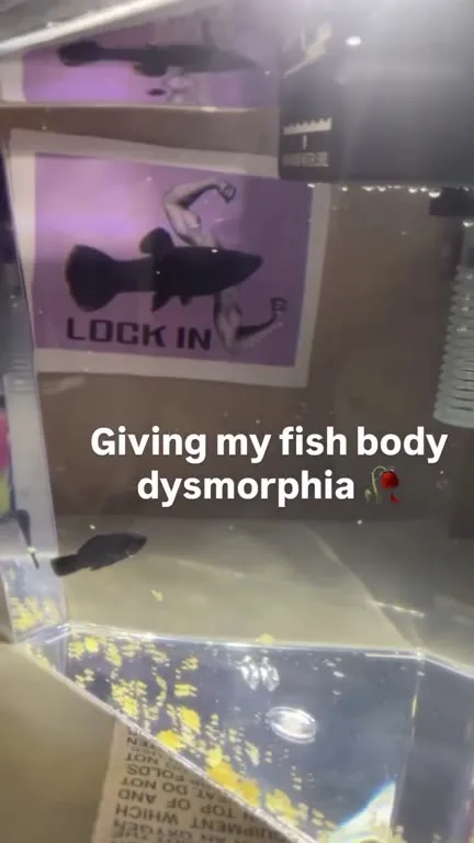Giving My Fish Body Dysmorphia