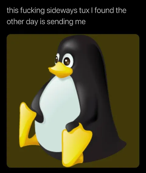 Sideways Tux Is Sending Me