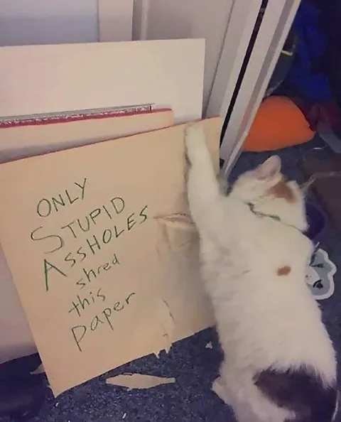 Only Stupid Assholes Shred Paper