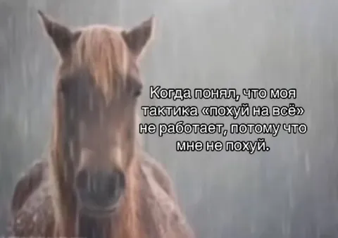 Тактика «похуй на всё» не работает