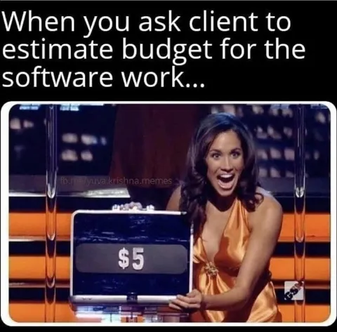 Client Estimates Software Work at $5