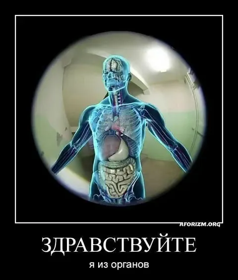 Я из органов
