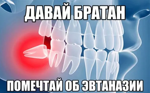 Давай братан, помечтай об эвтаназии