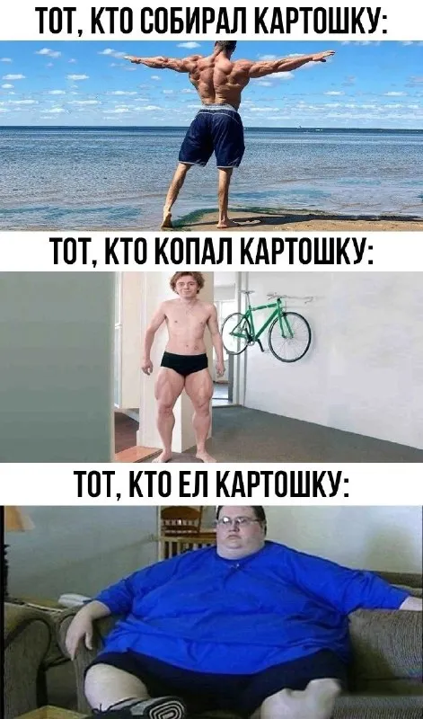 Кто собирал, копал и ел картошку