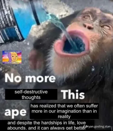 Ape Stops Self-Destructive Thoughts