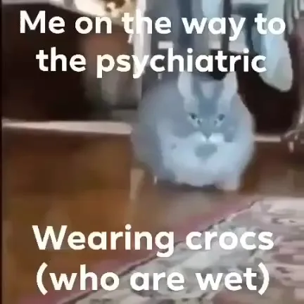 Wet Crocs Psychiatric Cat