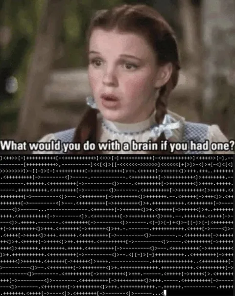 What Would You Do With a Brain