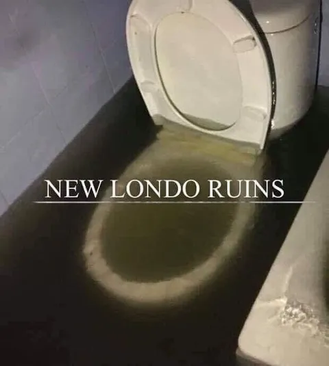 New Londo Ruins Toilet