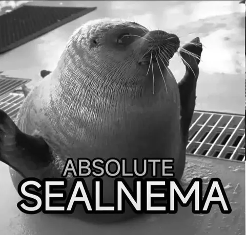Absolute Sealnema Seal Reaction