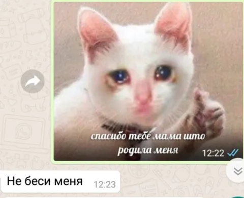 Спасибо, мама, что родила меня