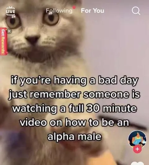 Alpha Male Video on a Bad Day