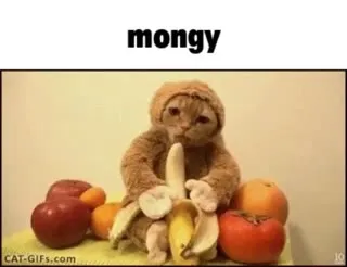 Sloth Eating a Banana