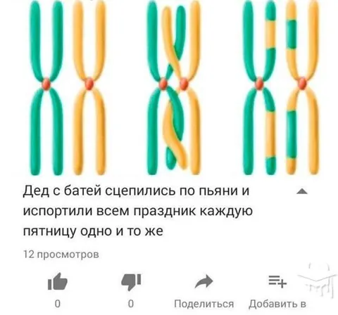 Дед с батей сцепились по пьяни