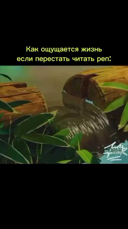 Жизнь без рэпа