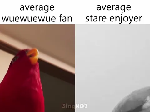Average Wuewuewue Fan vs Stare Enjoyer