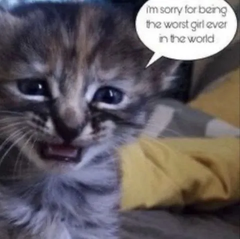 Worst Girl Ever Apology