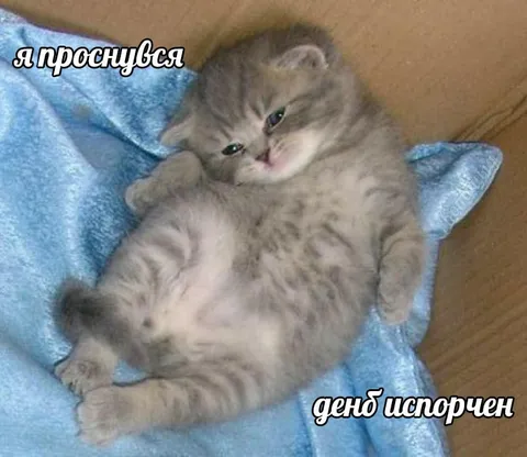 Я проснулся, день испорчен