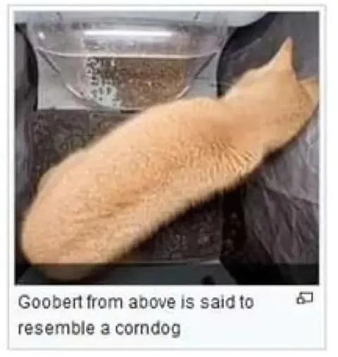 Goobert Resembles a Corndog
