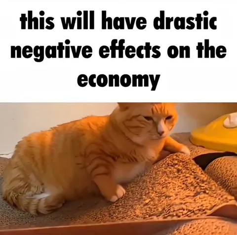 Cat's Propeller Hat Hurts Economy