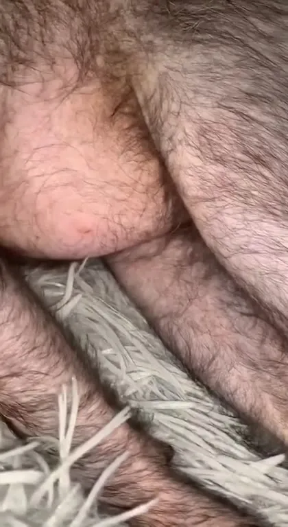 Лысый кот просыпается под Only You