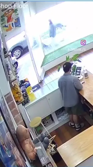 Конь внезапно исчезает из магазина