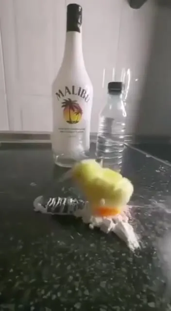 Duck Crawls Toward Malibu