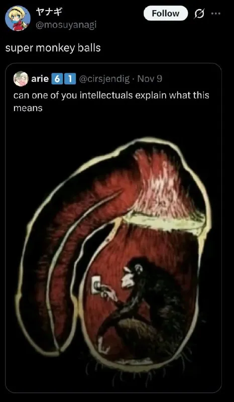 Super Monkey Balls Explained