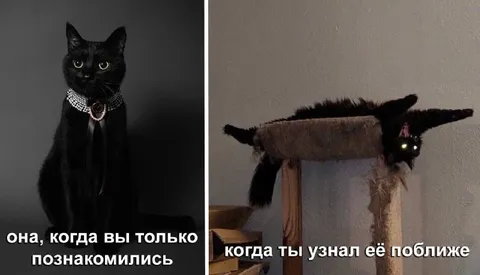 Когда узнал её поближе