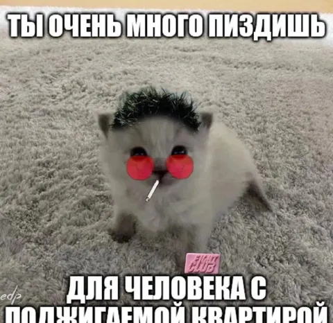 Ты очень много пиздишь