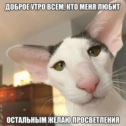 Доброе утро любящим и просветлённым