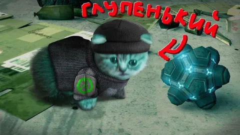 Глупенький котик с артефактом