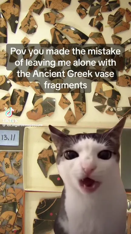 Cat Eats Ancient Greek Vase Fragments