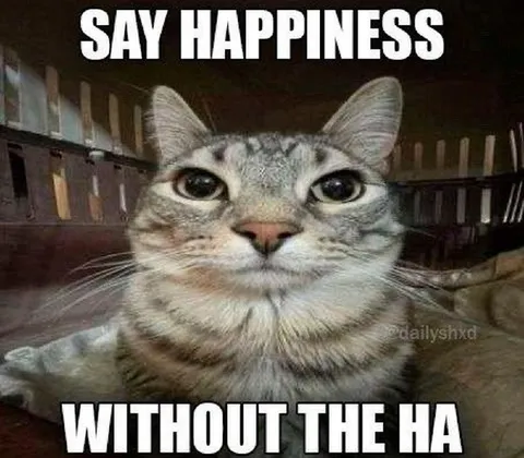 Say Happiness Without the Ha