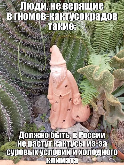 Гном среди кактусов