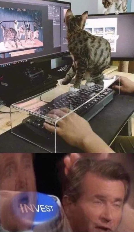 Cat Blocks the Investment