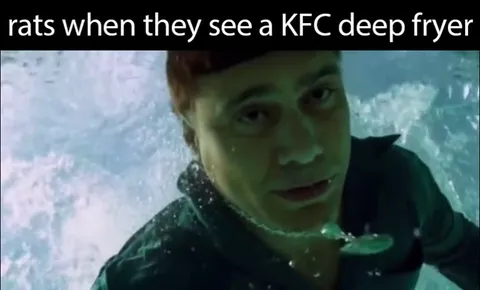 Rats See a KFC Deep Fryer