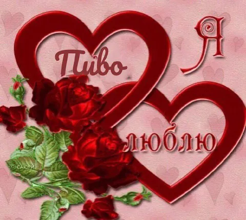 Я пиво люблю