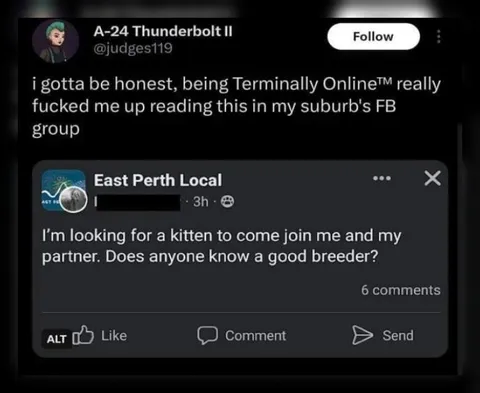 Terminally Online Reads Kitten Post