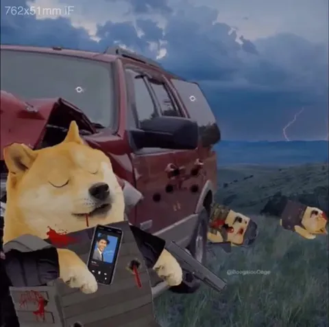 Doge у машины под My Way