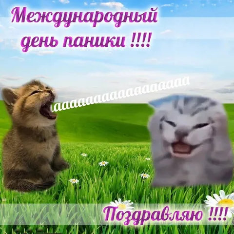 Международный день паники