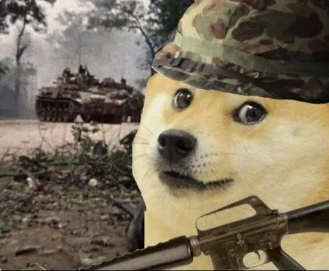 Доге на передовой