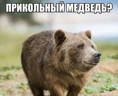 Прикольный медведь