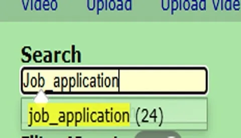 Job Application Search