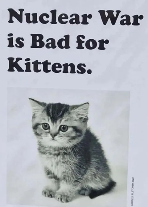 Nuclear War Is Bad for Kittens